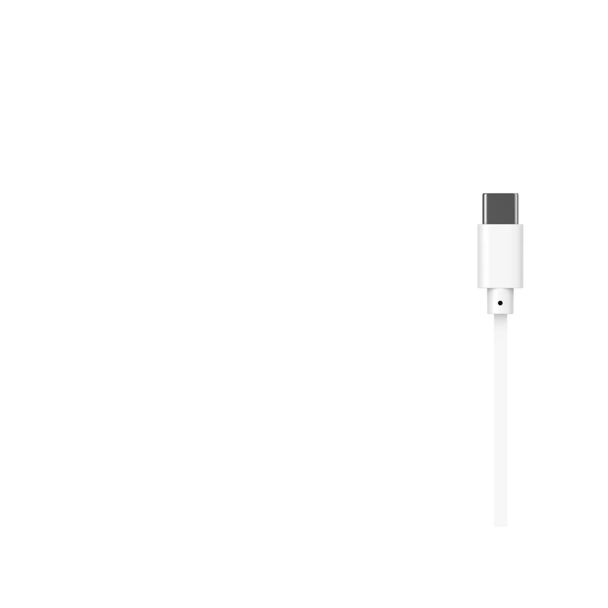 HAVIT E336C USB-C Headphones with Microphone | White