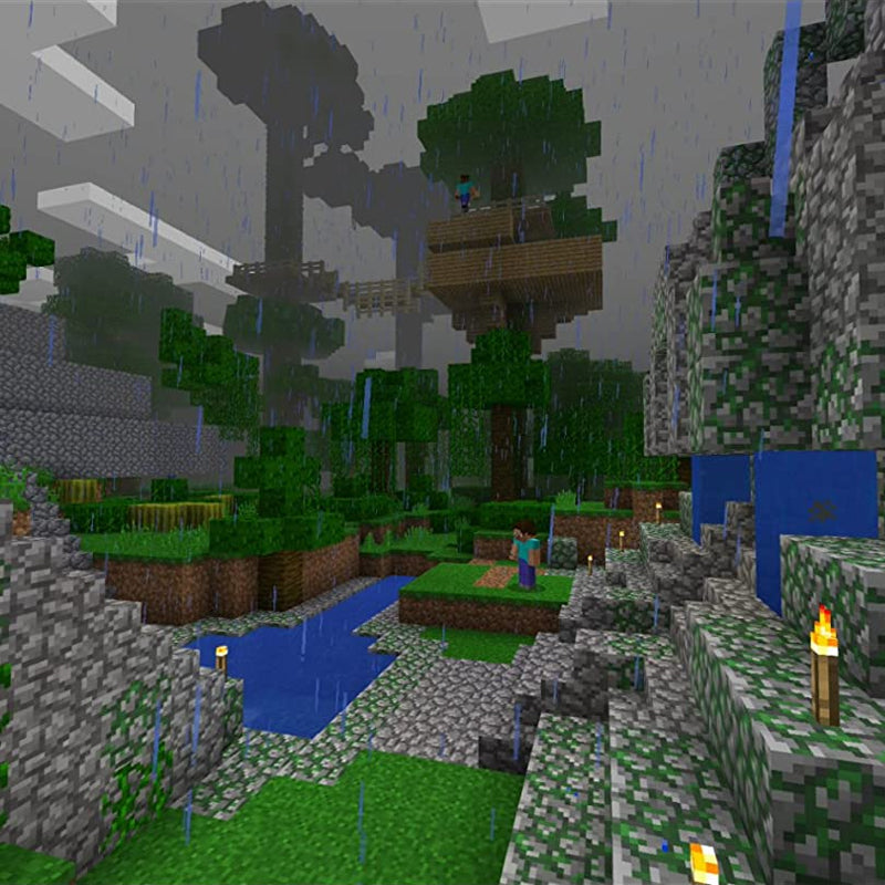 Minecraft (Nintendo Switch)