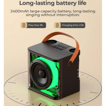 HAVIT Audio Series-Bluetooth speaker With 2 x Wireless Microphones