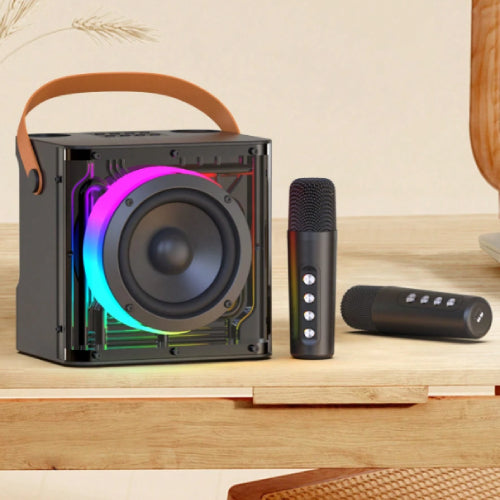HAVIT Audio Series-Bluetooth speaker With 2 x Wireless Microphones