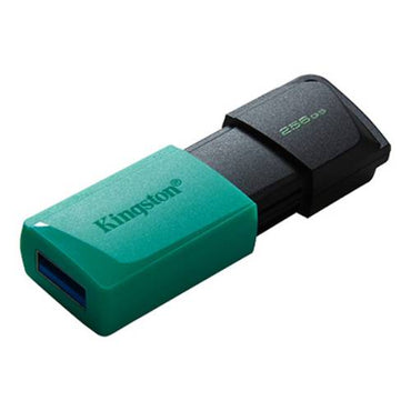 Kingston 256GB DataTraveler Exodia 3.2 M USB flash drive