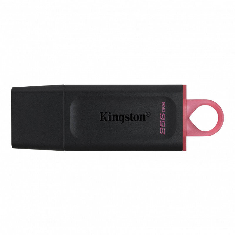 Kingston DataTraveler Exodia USB 3.2 Flash Drive