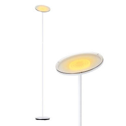 Gladle LED Floor Lamp