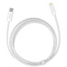 Baseus Dynamic Series Fast Charging Data Cable Type-C to iP 20W 1m - White