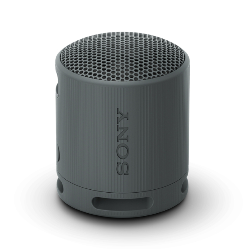 Sony SRS-XB100 Wireless Speaker - Black